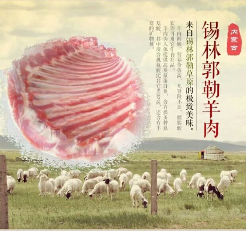 羊寸排是带骨绵羊肉