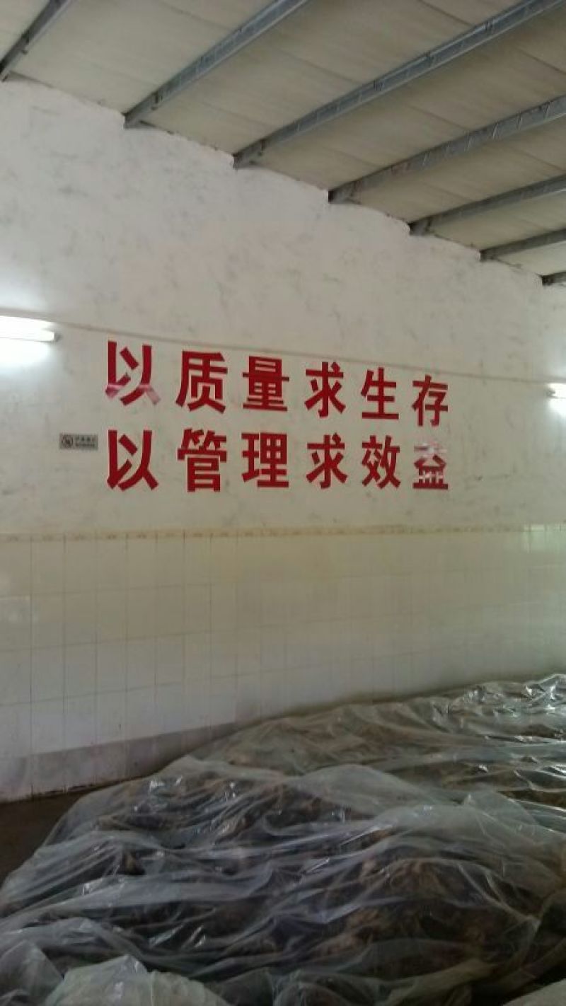 梅菜惠州梅菜产地直发品质保证货源稳定欢迎来电咨询