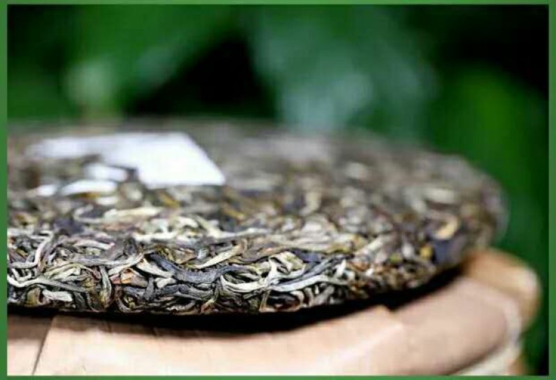 普洱绿茶