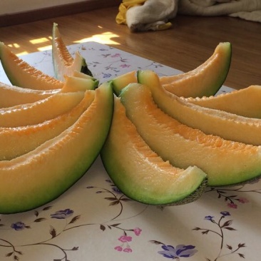 伽师瓜