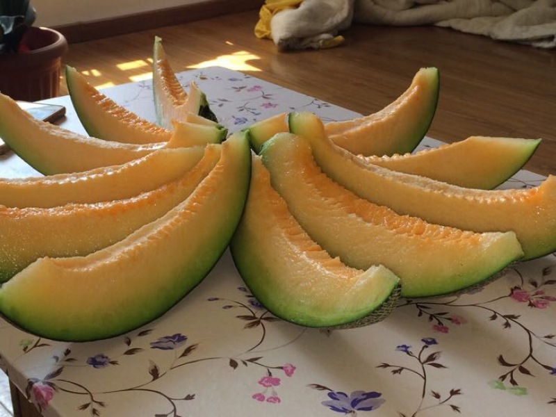 伽师瓜