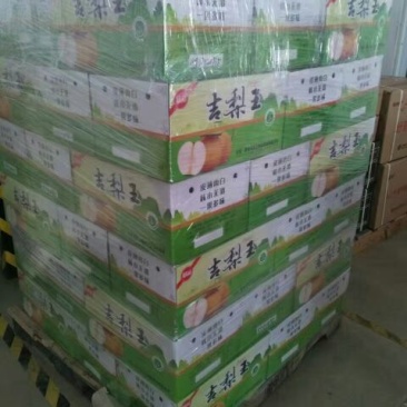 晚秋黄梨350~400g纸箱