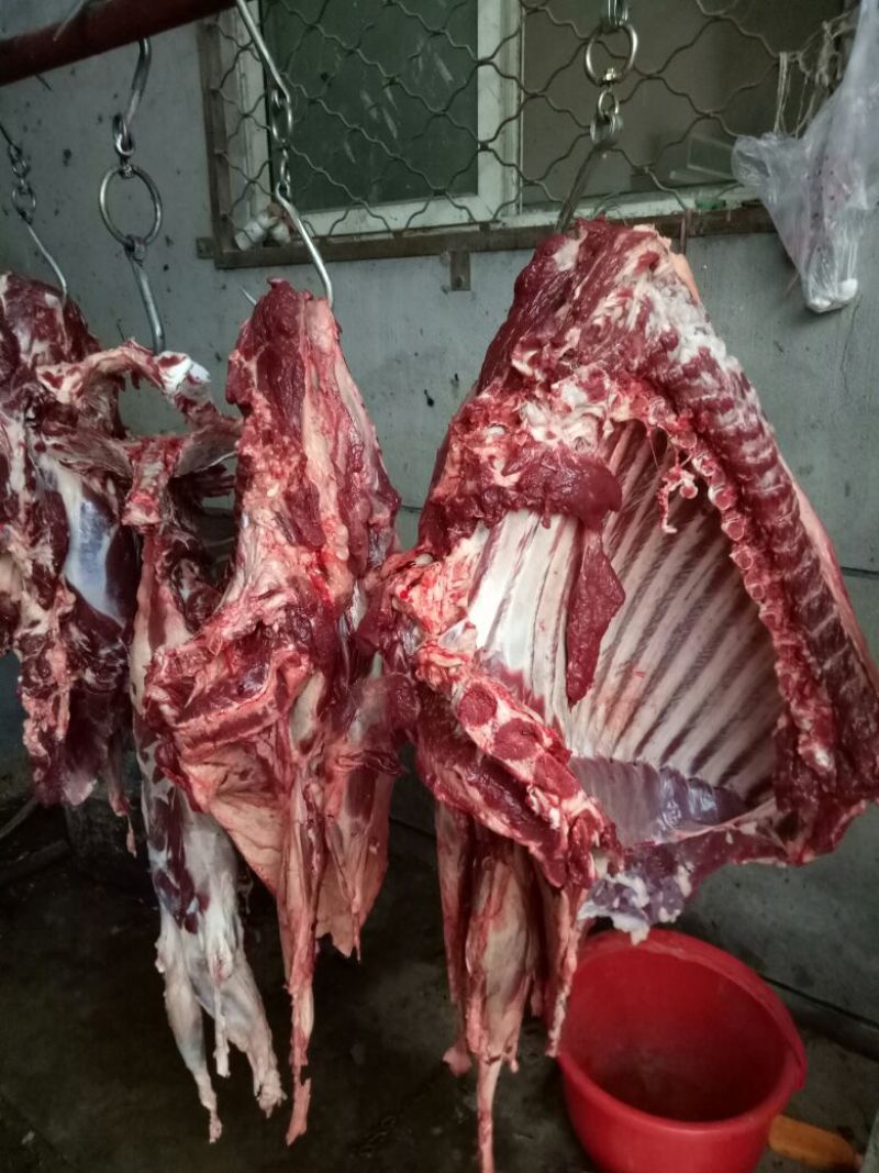 驴肉鲜货