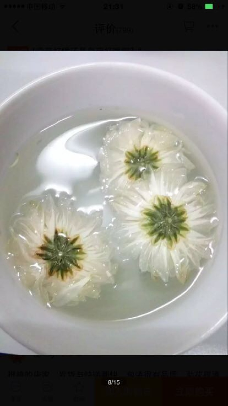 白菊花茶