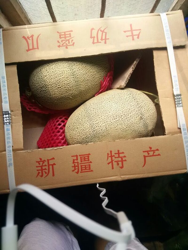西州蜜瓜5斤以上椭圆形