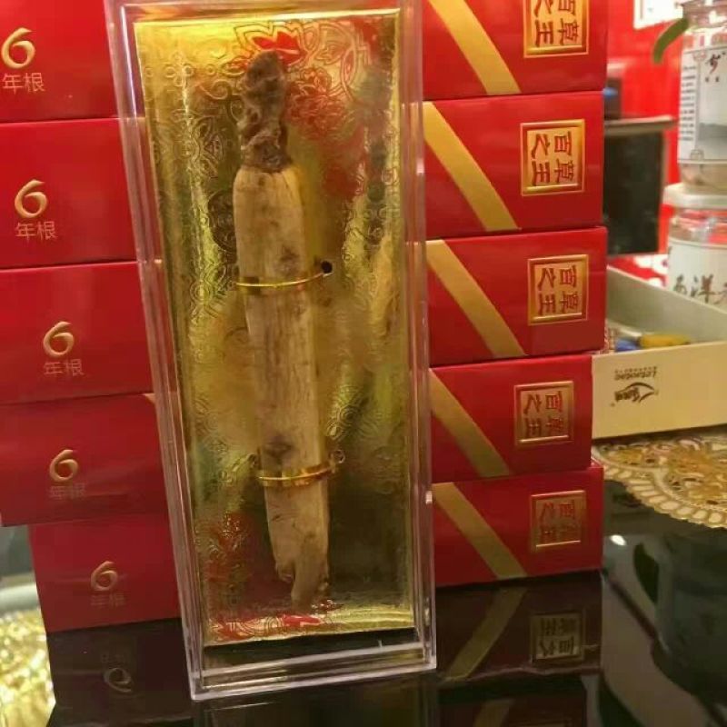 高丽参