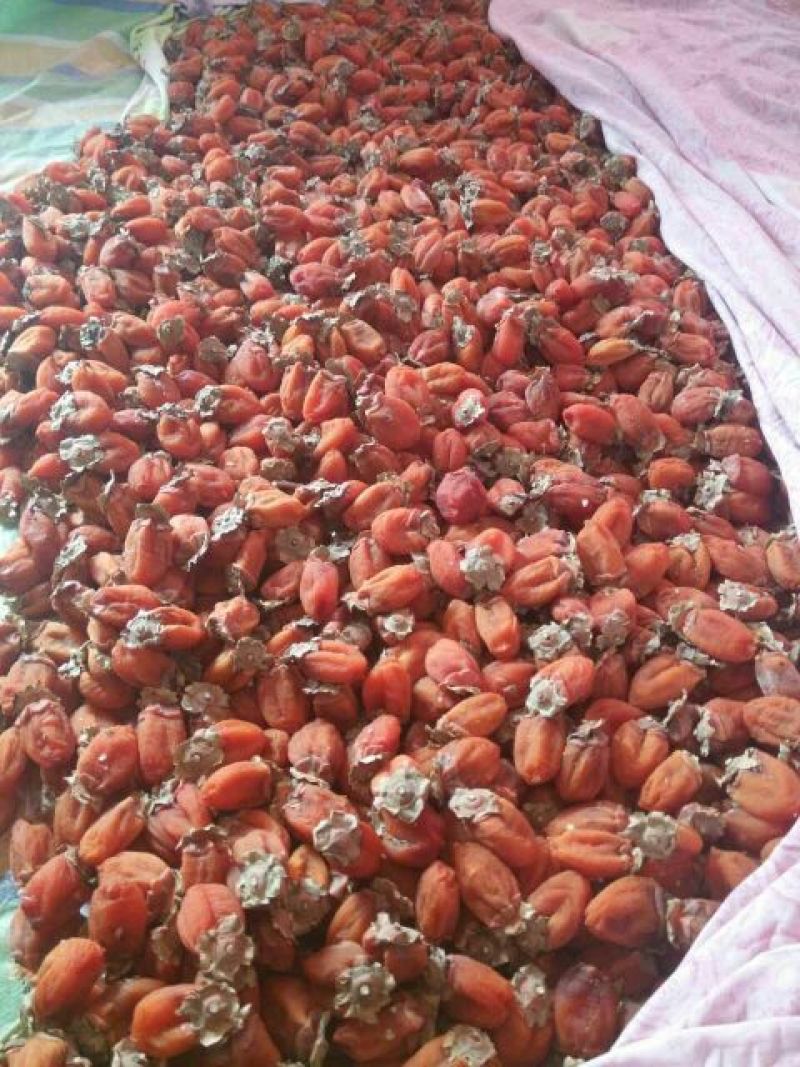 柿饼1两以下