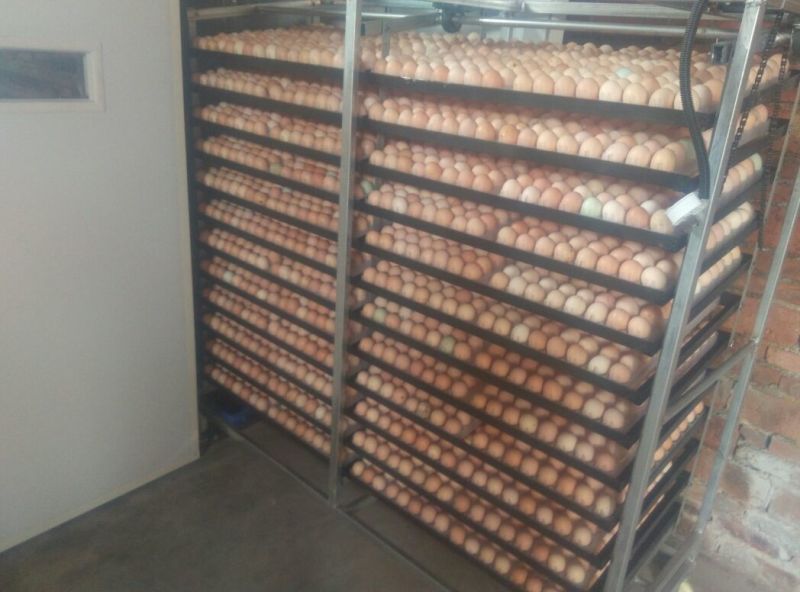 土鸡蛋食用50g以下