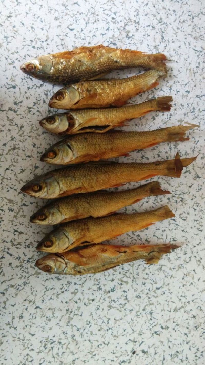 东江湖火焙鱼稻谷香味
