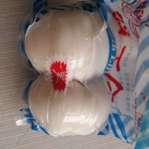兰州甜百合产地厂家直销