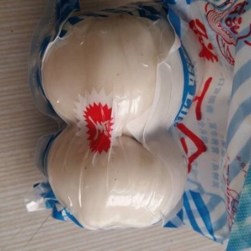 兰州甜百合产地厂家直销