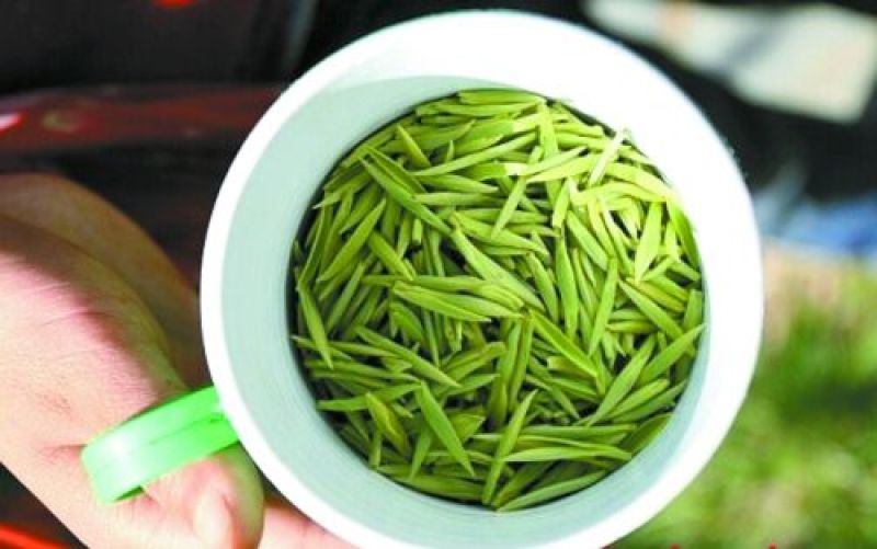 石阡苔茶特级
