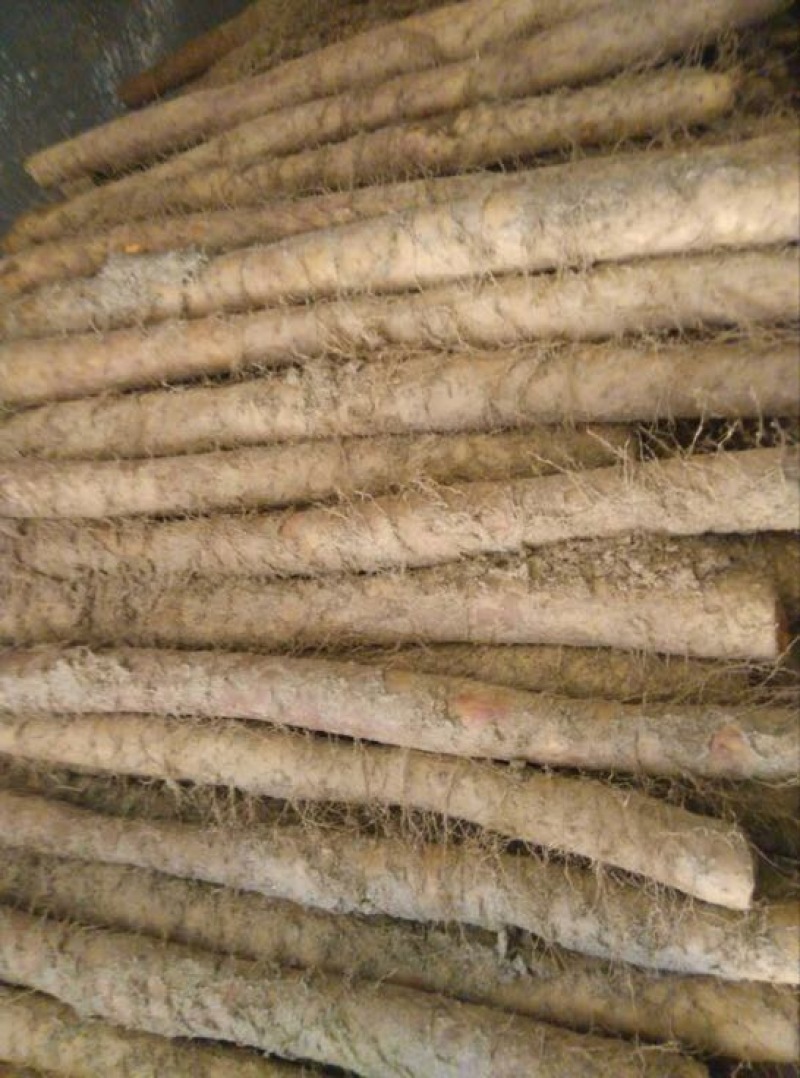 白玉山药3~4厘米一级通货，日本白山药