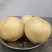 丰水梨300~350g纸袋
