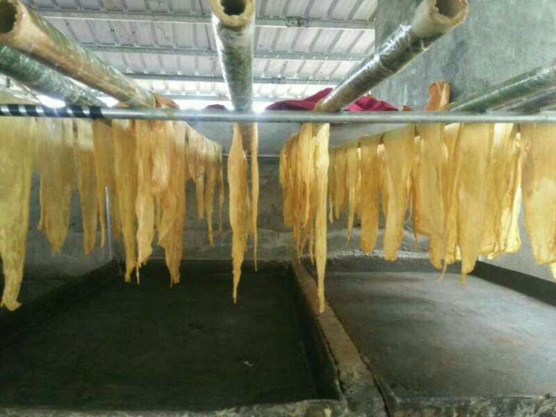 腐竹