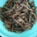 基围虾食用冰鲜虾