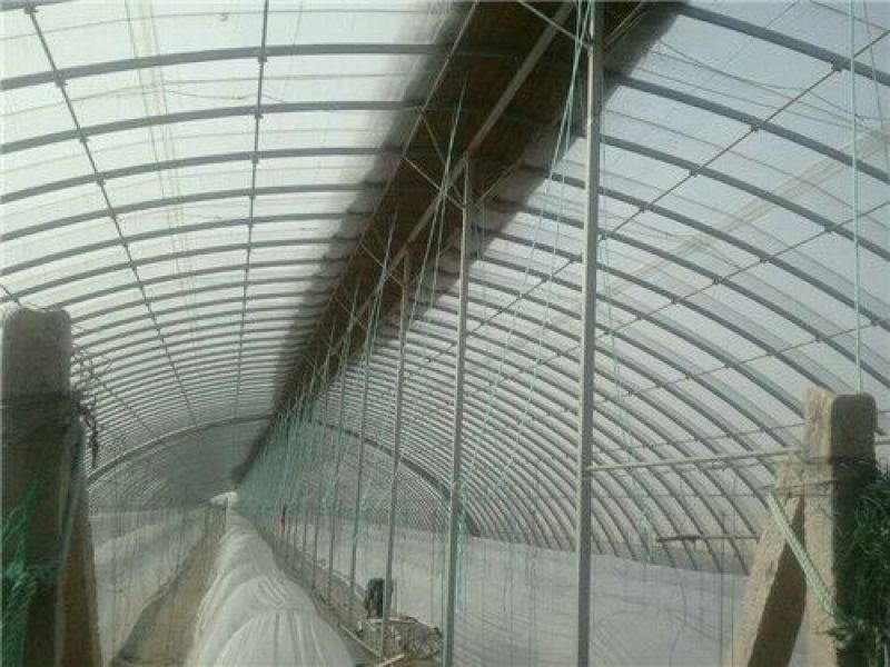 温室大棚连栋温室建造，设计规划及农产品种植技术。
