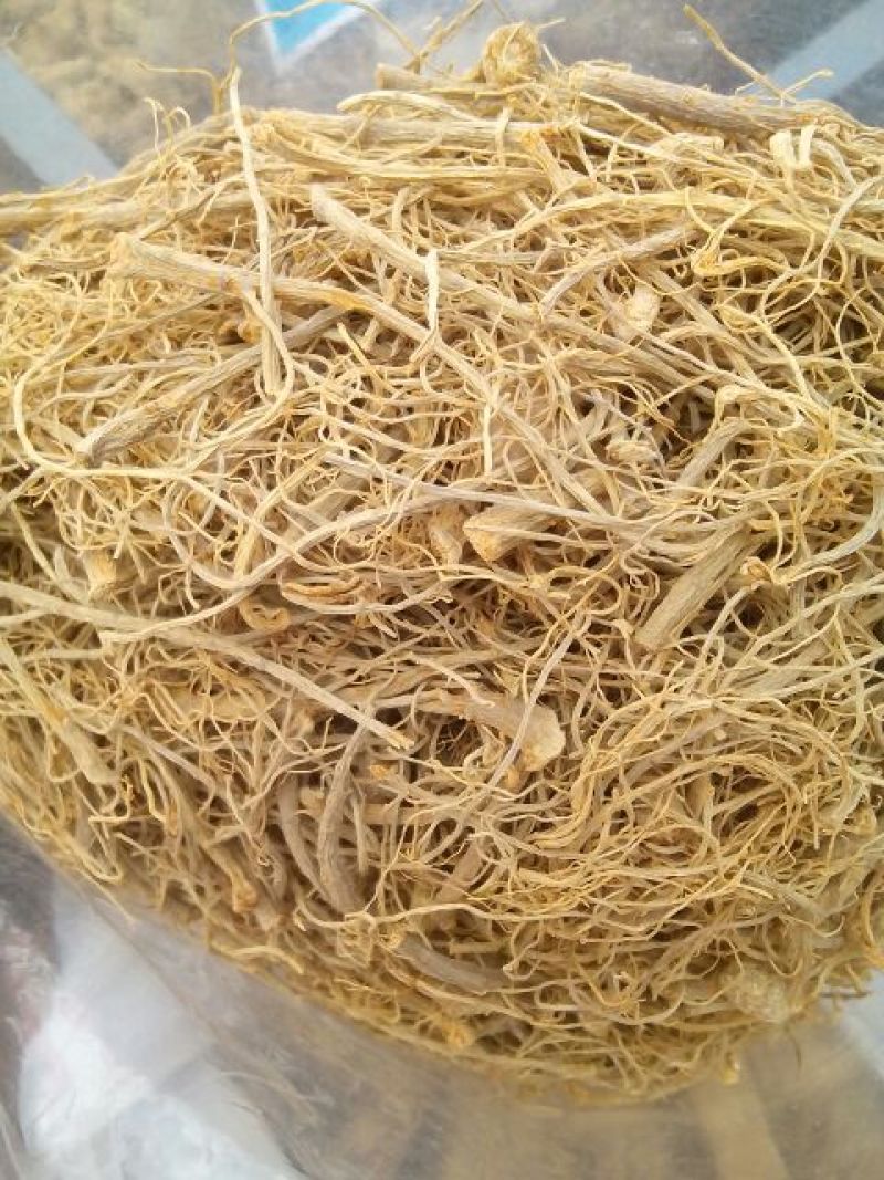 三七根茎