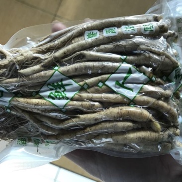 人参
