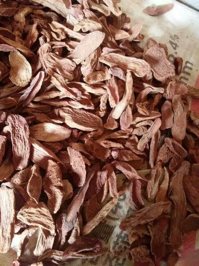 锁阳统货