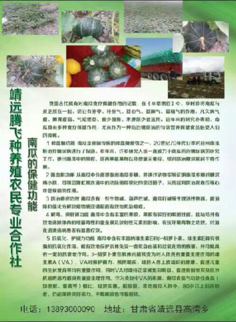 日本南瓜2~3斤以上扁圆形