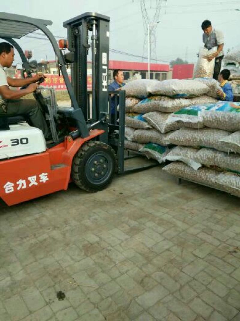 纸皮核桃去皮干