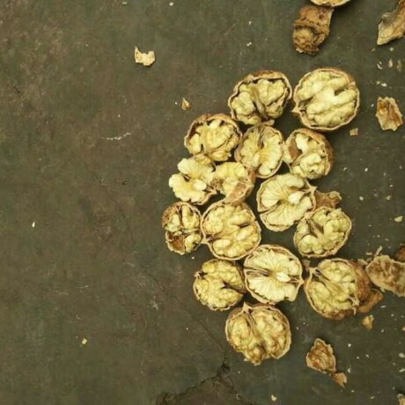大泡核桃去皮干
