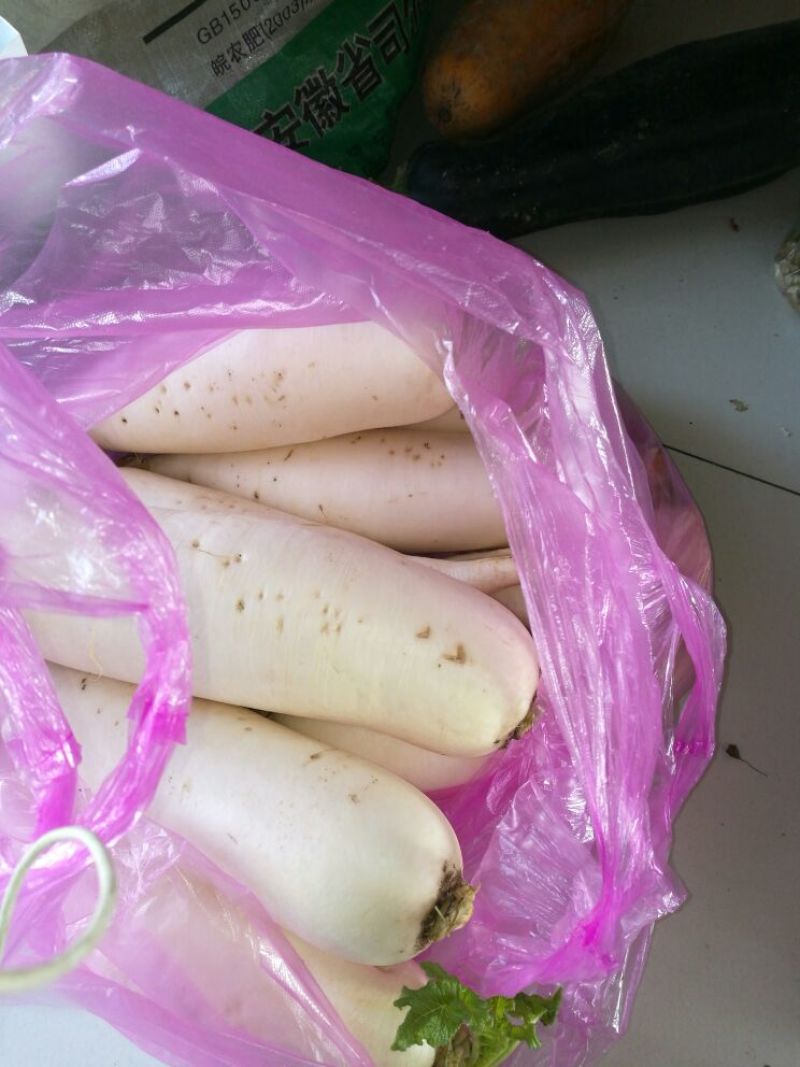 白萝卜1.5~2斤起