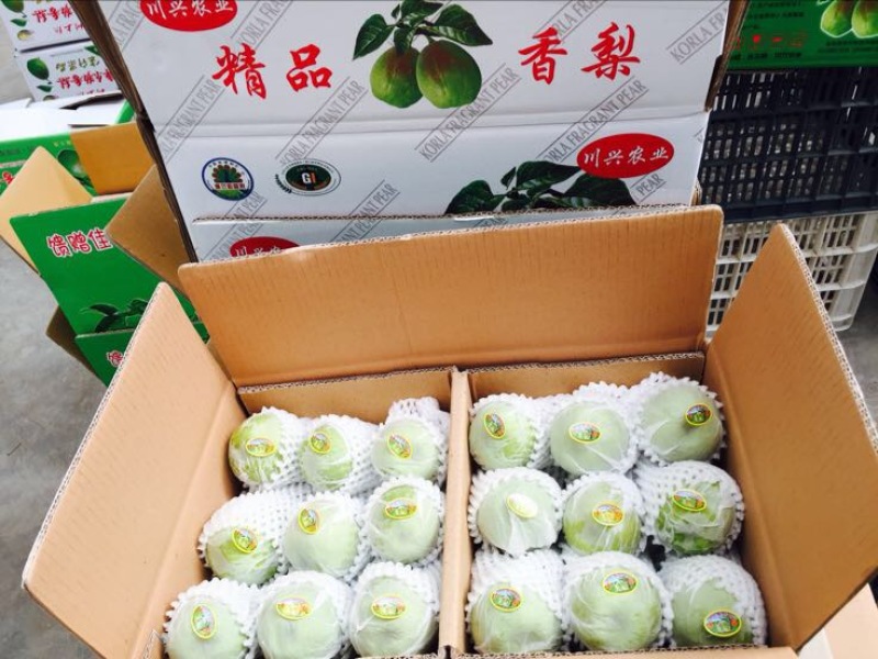 库尔勒香梨