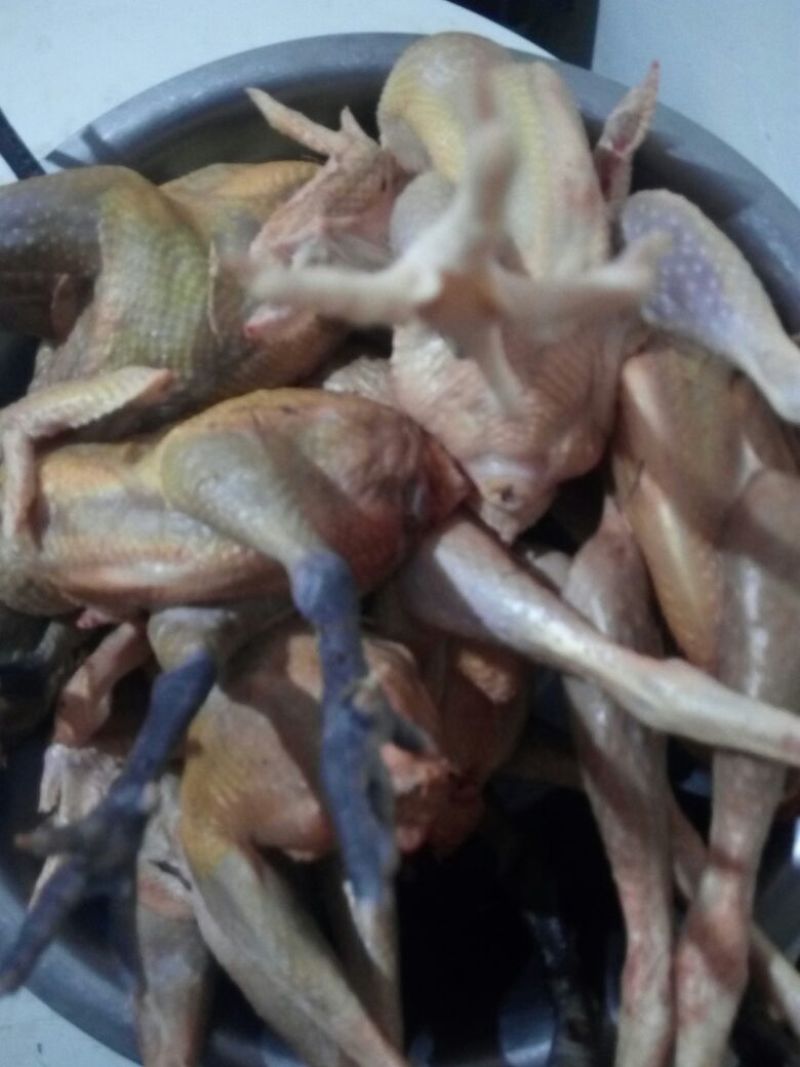 鸡肉散装