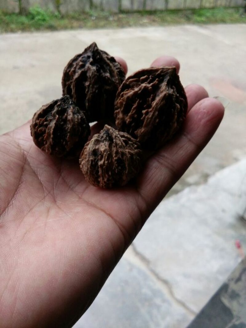 文玩核桃去皮后清洗纯干品