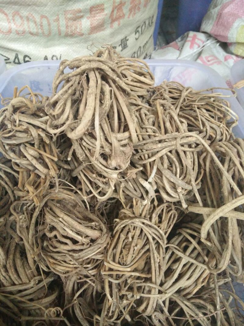鸡屎藤全草