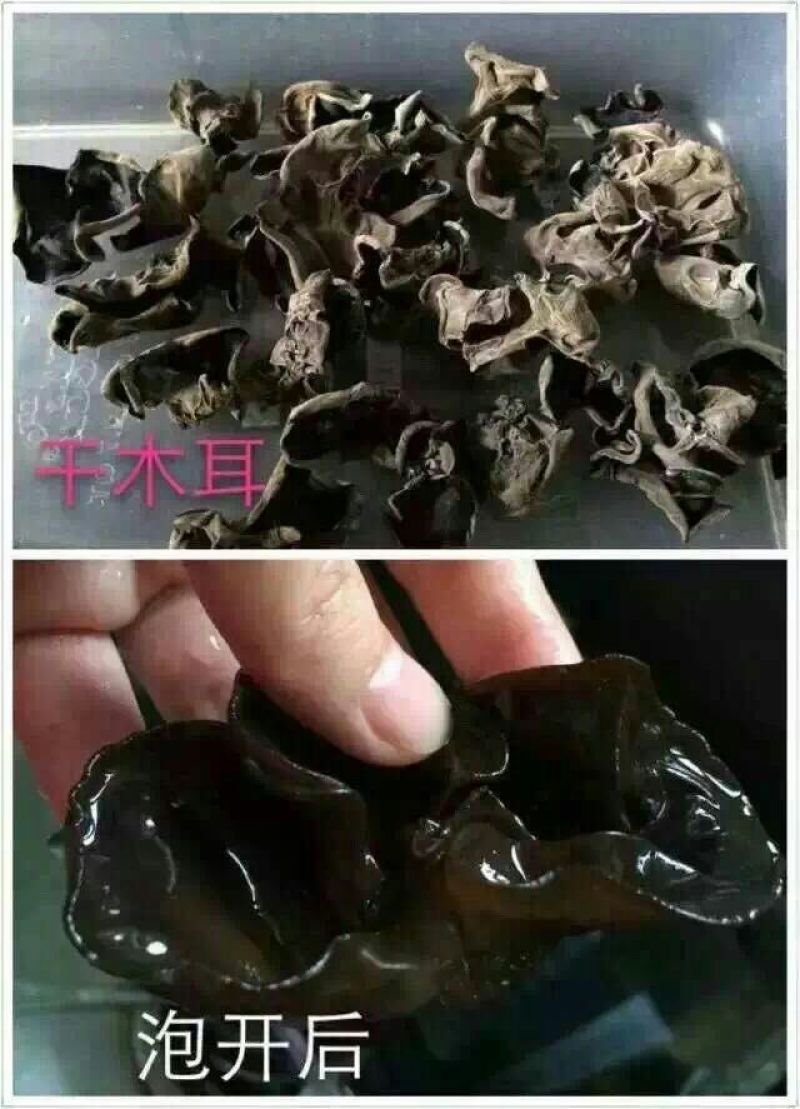 黑木耳一级