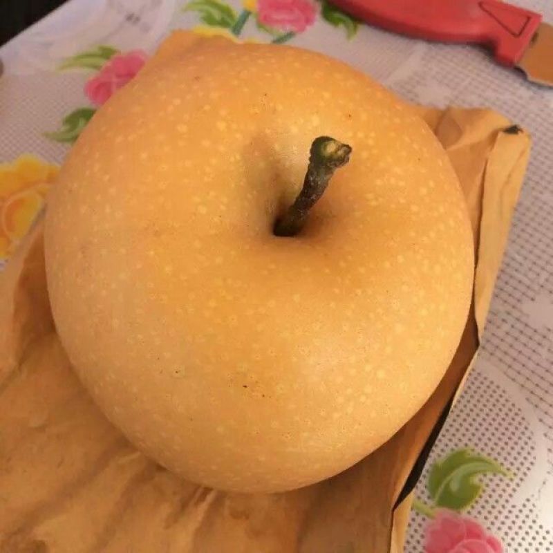 秋月梨