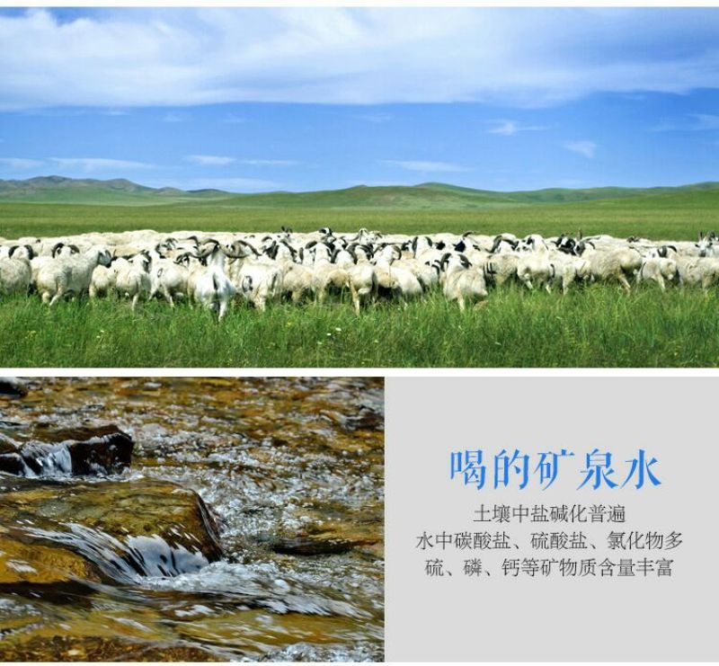羊后腿绵羊肉是