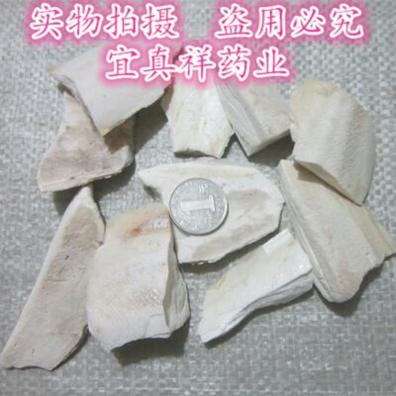 海螵蛸