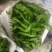 螺丝椒﹥20厘米青