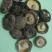 光面菇3~4cm