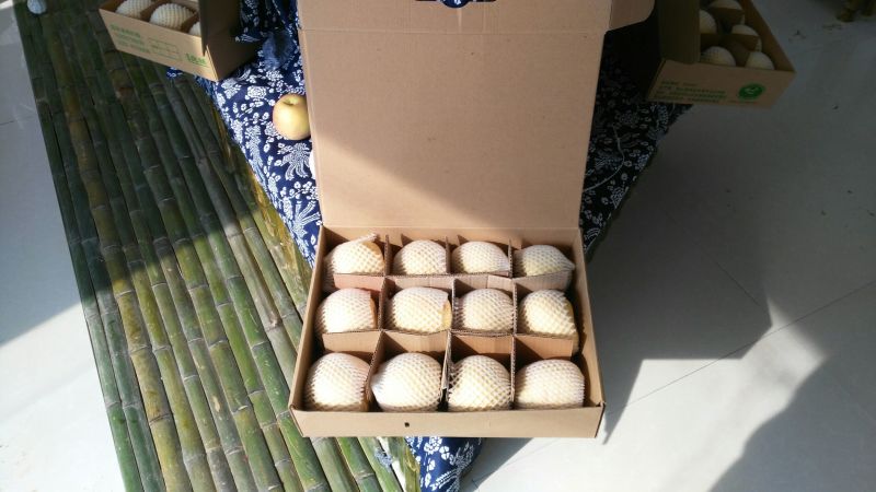 富硒梨300~350g纸箱