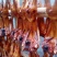 肉兔3~5