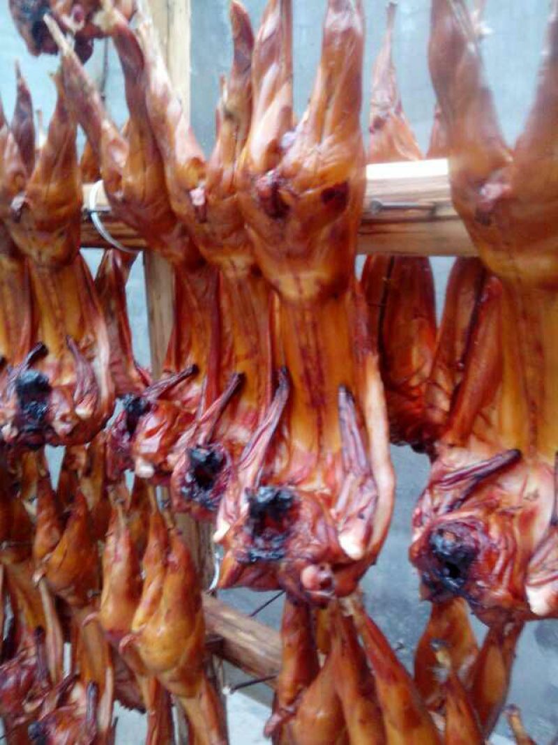肉兔3~5