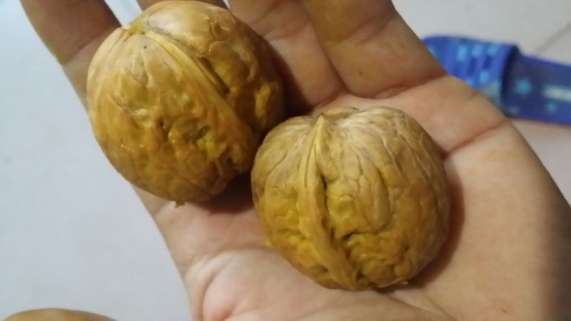 核桃去皮