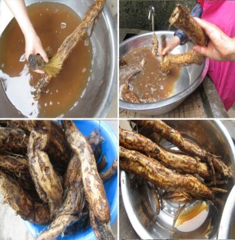 葛根粉