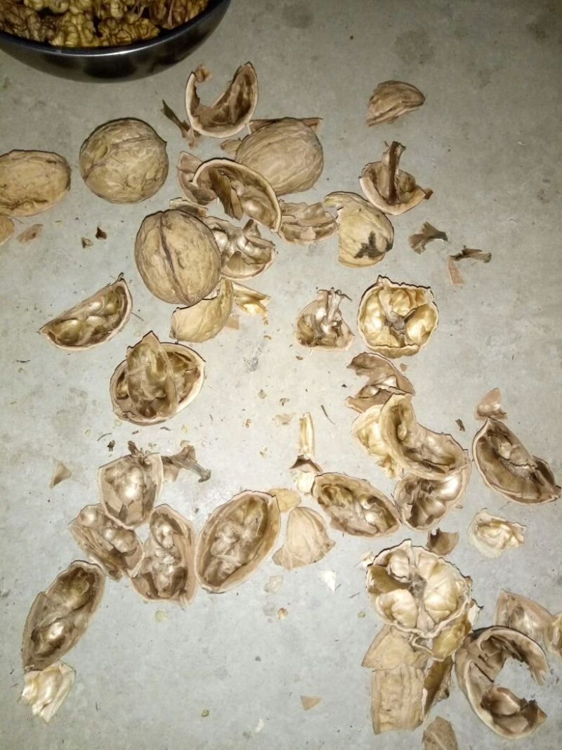 商南核桃25mm以下去皮干