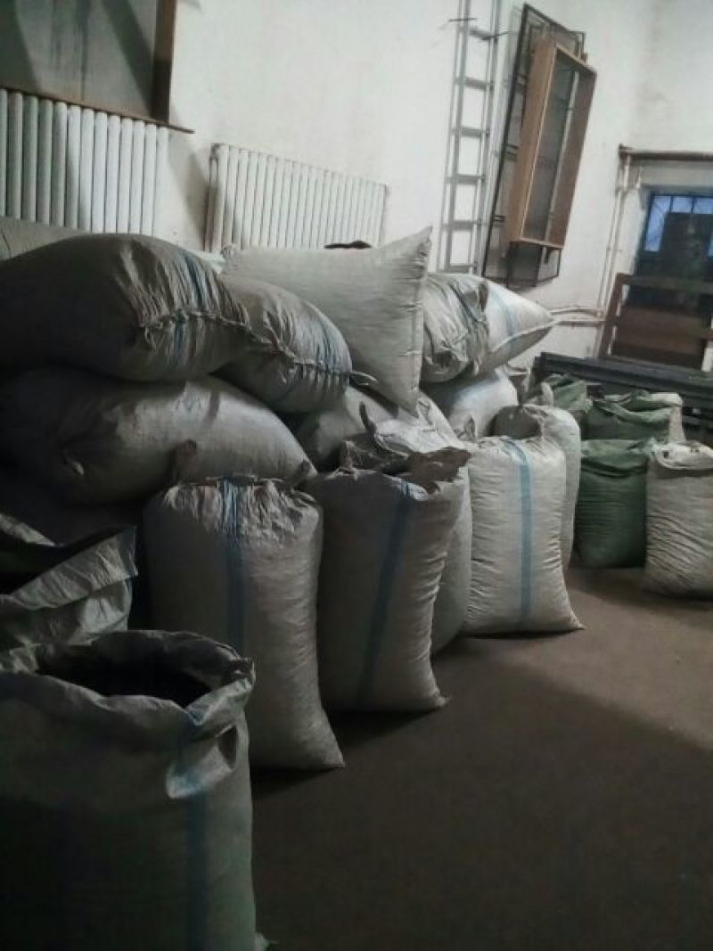 秋木耳秋木耳，1.8一下，茶叶卷，色黑，口感好