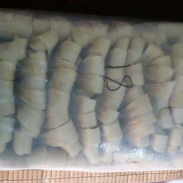 腐竹