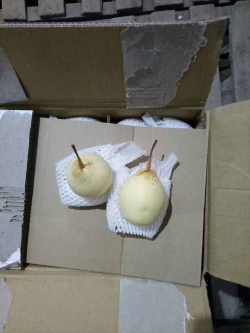 鸭梨250~300g纸箱