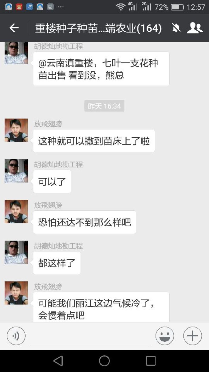 【良心推荐】云南纯正滇重楼矮杆重楼