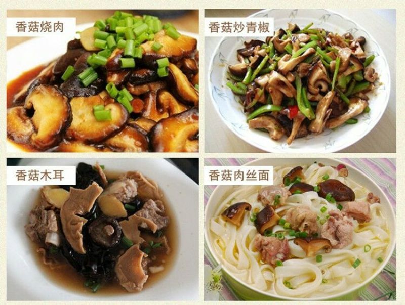 光面菇3cm以上