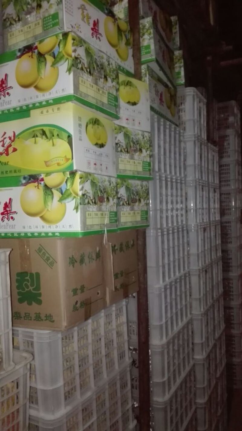黄金梨350~400g纸袋
